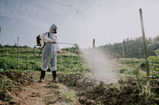 Best Local Pest Control Services  in Forsyth, MT