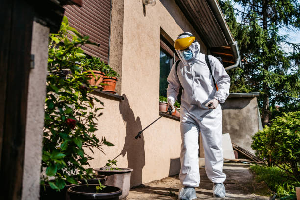 Best Wasp Removal Services  in Forsyth, MT