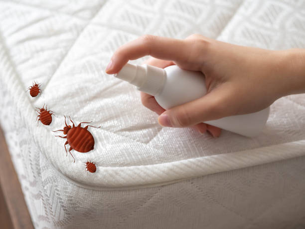 Best Flea Control Services  in Forsyth, MT